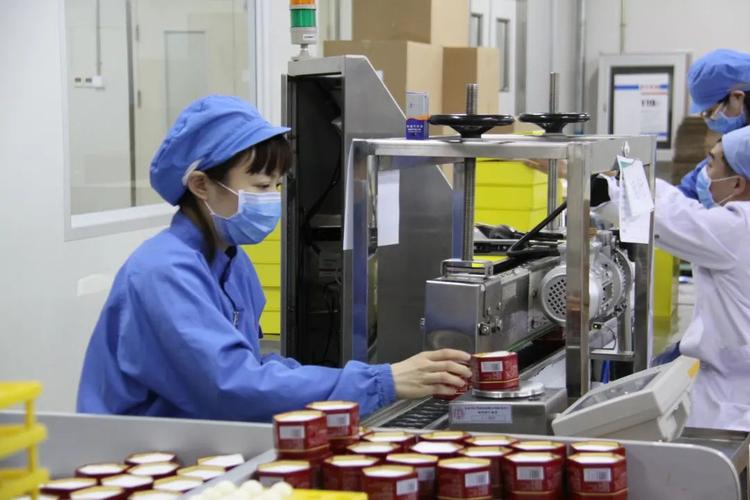 5条药品生产线同步开跑,管家式服务助力同仁堂满工满产