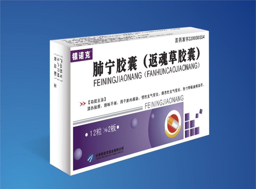 肺宁胶囊 生产单位 招商电话 产品介绍_镇赉宝慷中药制药_环球医药招商网