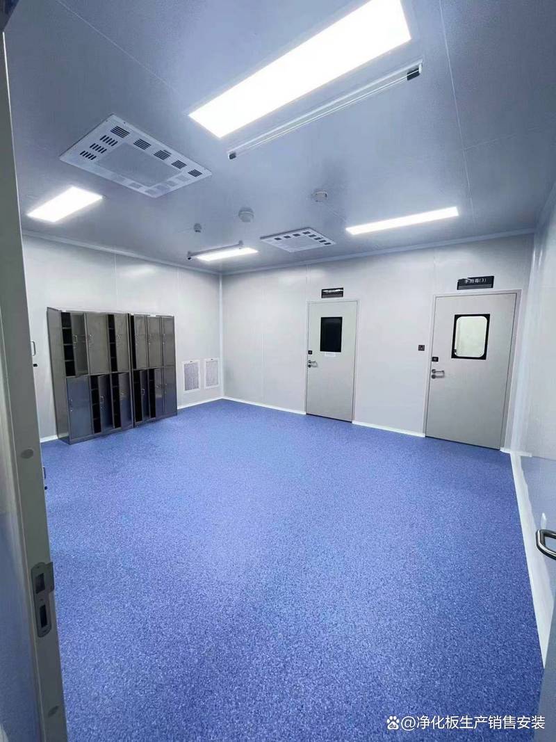 探秘西藏制药厂净化工程公司如何守护药品生产洁净空间